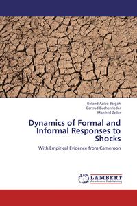 Produktbild: Dynamics of Formal and Informal Responses to Shocks