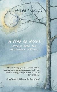 Produktbild: A Year of Moons
