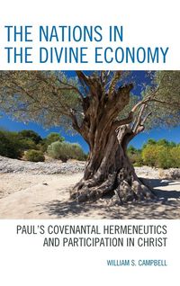 Produktbild: Nations in the Divine Economy