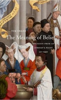 Produktbild: The Meaning of Belief