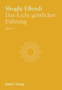 Produktbild: Das Licht g&ouml;ttlicher F&uuml;hrung, Bd. 1