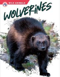 Produktbild: Wolverines