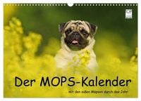 Produktbild: Der MOPS-Kalender (Wandkalender 2027 DIN A3 quer), CALVENDO Monatskalender