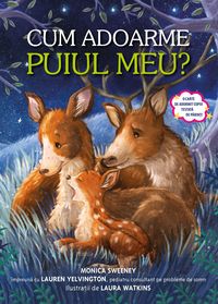Produktbild: Cum Adoarme Puiul Meu?