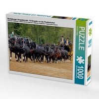 Produktbild: Moritzburger Hengstparade: 16 Hengste vor der Postkutsche! (Puzzle)