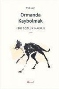 Produktbild: Ormanda Kaybolmak