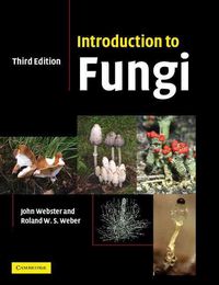 Produktbild: Introduction to Fungi