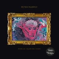 Produktbild: Peter Live Volume 1 Covers