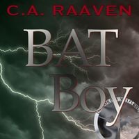 Produktbild: BAT Boy 1