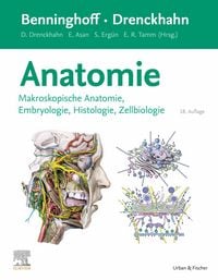 Produktbild: Benninghoff/Drenckhahn, Anatomie