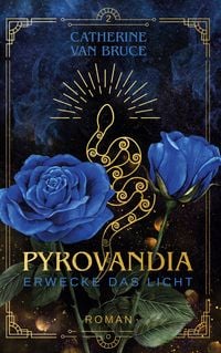 Produktbild: Pyrovandia - Erwecke das Licht