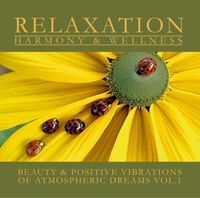 Bild vom Artikel Atmospheric Dreams Vol.1 vom Autor Various Artists