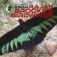 Produktbild: All about Asian Rajah Brooke's Birdwings
