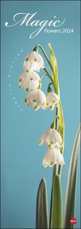 Bild vom Artikel Magic Flowers Vertical Kalender 2024. Langer Wandkalender mit farbenprächtigen Blumen-Fotos. Dekorativer XL Kalender vertikal mit beeindruckenden Bl vom Autor Sibylle Pietrek