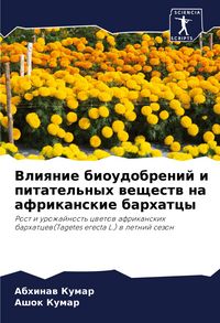 Produktbild: Vliqnie bioudobrenij i pitatel'nyh weschestw na afrikanskie barhatcy