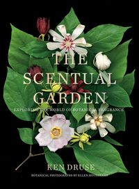 Produktbild: The Scentual Garden