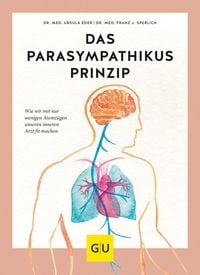 Bild vom Artikel Das Parasympathikus-Prinzip vom Autor Ursula Eder