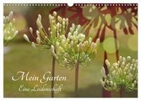 Produktbild: Mein Garten Eine Leidenschaft (Wandkalender 2026 DIN A3 quer), CALVENDO Monatskalender