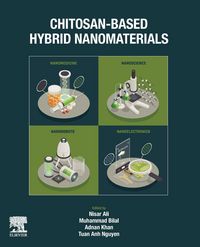 Produktbild: Chitosan-Based Hybrid Nanomaterials