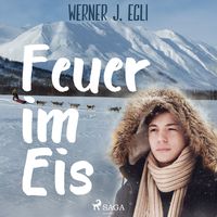 Produktbild: Feuer im Eis