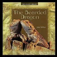 Produktbild: Bearded Dragon