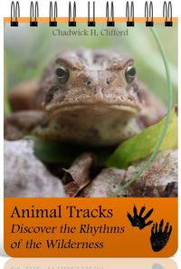 Produktbild: Animal Tracks: Discover the Rhythms of the Wilderness