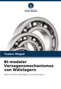 Produktbild: BI-modaler Versagensmechanismus von W&auml;lzlagern