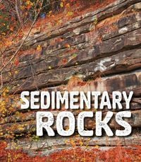 Produktbild: Sedimentary Rocks