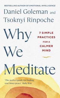 Produktbild: Why We Meditate
