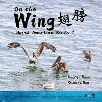 Produktbild: On the Wing &iquest;&iquest; - North American Birds 7
