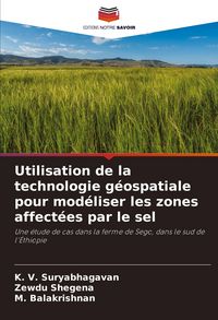 Produktbild: Utilisation de la technologie g&eacute;ospatiale pour mod&eacute;liser les zones affect&eacute;es par le sel
