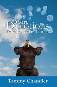 Produktbild: More Devotions from Everyday Things