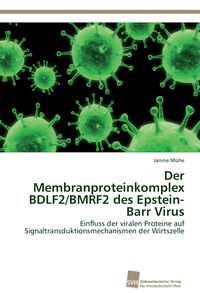 Bild vom Artikel Der Membranproteinkomplex BDLF2/BMRF2 des Epstein-Barr Virus vom Autor Janine Mühe