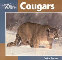 Produktbild: Cougars