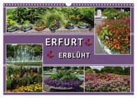 Produktbild: Erfurt erbl&uuml;ht (Wandkalender 2027 DIN A3 quer), CALVENDO Monatskalender