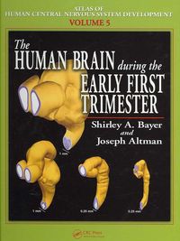 Produktbild: The Human Brain During the Early First Trimester