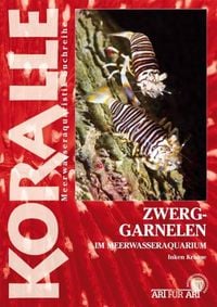 Produktbild: Zwerggarnelen im Meerwasseraquarium