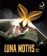 Produktbild: Luna Moths