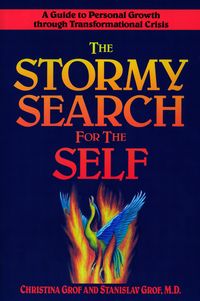Produktbild: The Stormy Search for the Self
