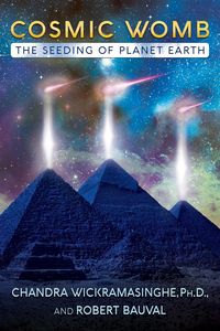 Produktbild: Cosmic Womb