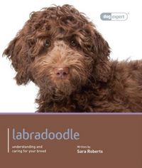 Produktbild: Rogers, S: Labradoodle - Dog Expert