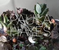 Produktbild: Paula Hayes