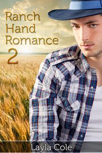 Produktbild: Ranch Hand Romance 2 (Gay Cowboy Erotica)