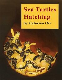 Produktbild: Sea Turtles Hatching