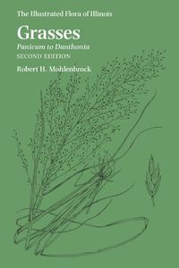 Produktbild: Mohlenbrock, R: Grasses: Panicum to Danthonia