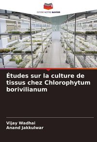 Produktbild: &Eacute;tudes sur la culture de tissus chez Chlorophytum borivilianum
