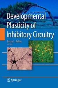 Produktbild: Developmental Plasticity of Inhibitory Circuitry