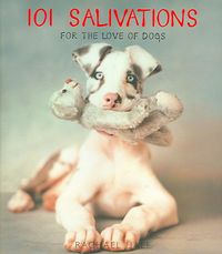 Produktbild: 101 Salivations