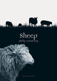 Produktbild: Sheep