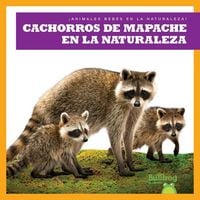 Produktbild: Cachorros de Mapache En La Naturaleza (Raccoon Cubs in the Wild)